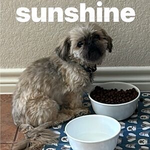 Meet your Posher, Babette